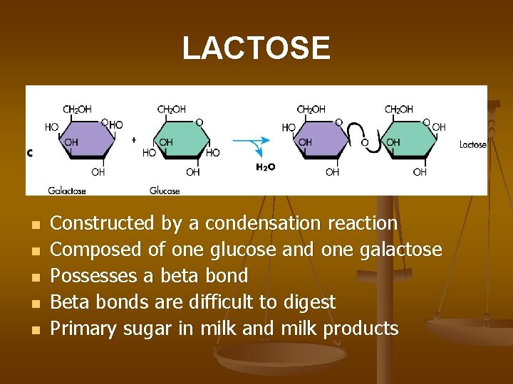 LACTOSE n n n Constructed by a condensation reaction Composed of one glucose and