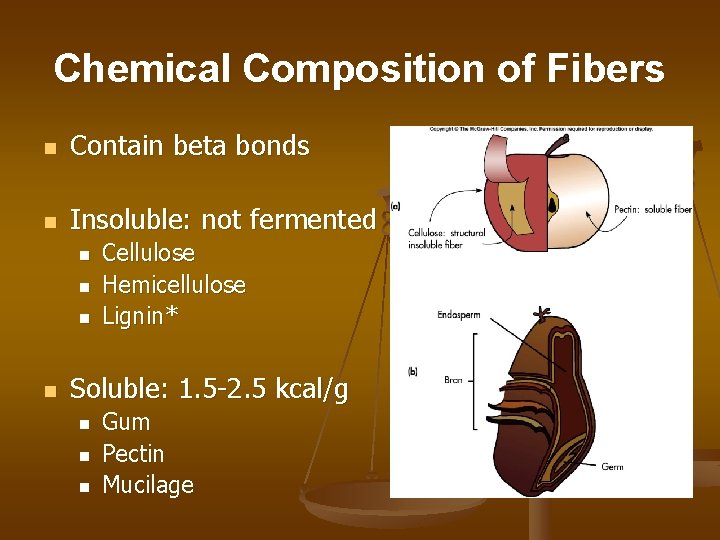 Chemical Composition of Fibers n Contain beta bonds n Insoluble: not fermented n n