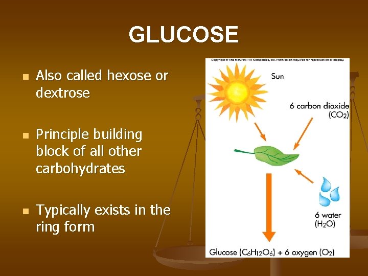 GLUCOSE n n n Also called hexose or dextrose Principle building block of all