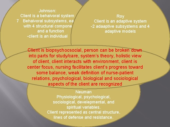 Johnson: Client is a behaivoral system 7 Behaivoral subsystems, each with 4 structural components