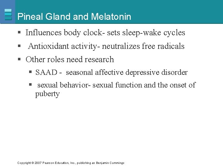 Pineal Gland Melatonin § Influences body clock- sets sleep-wake cycles § Antioxidant activity- neutralizes