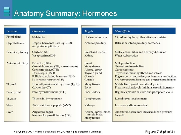 Anatomy Summary: Hormones Copyright © 2007 Pearson Education, Inc. , publishing as Benjamin Cummings