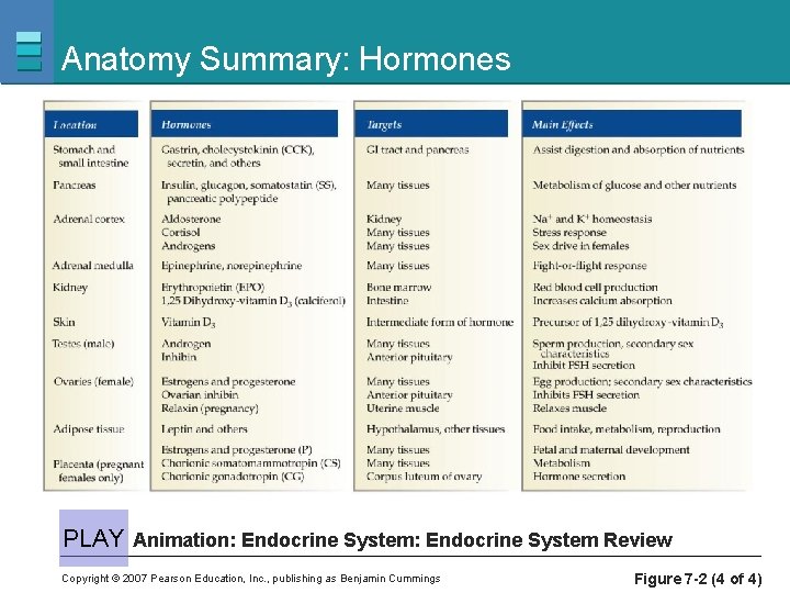 Anatomy Summary: Hormones PLAY Animation: Endocrine System Review Copyright © 2007 Pearson Education, Inc.
