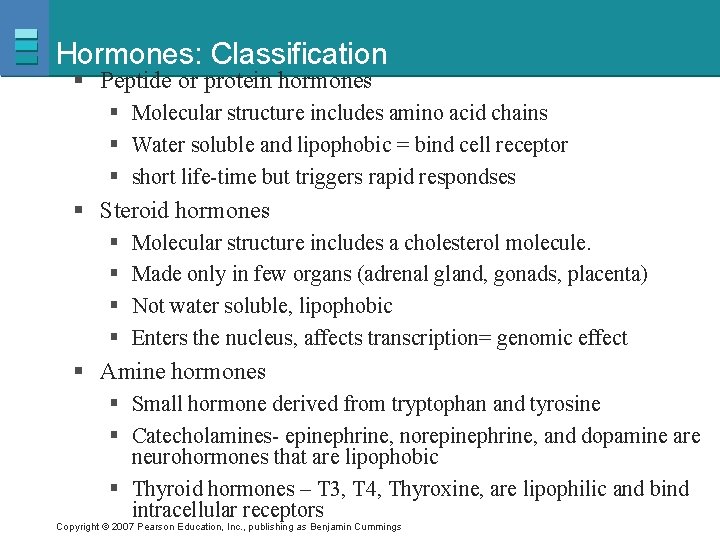 Hormones: Classification § Peptide or protein hormones § Molecular structure includes amino acid chains