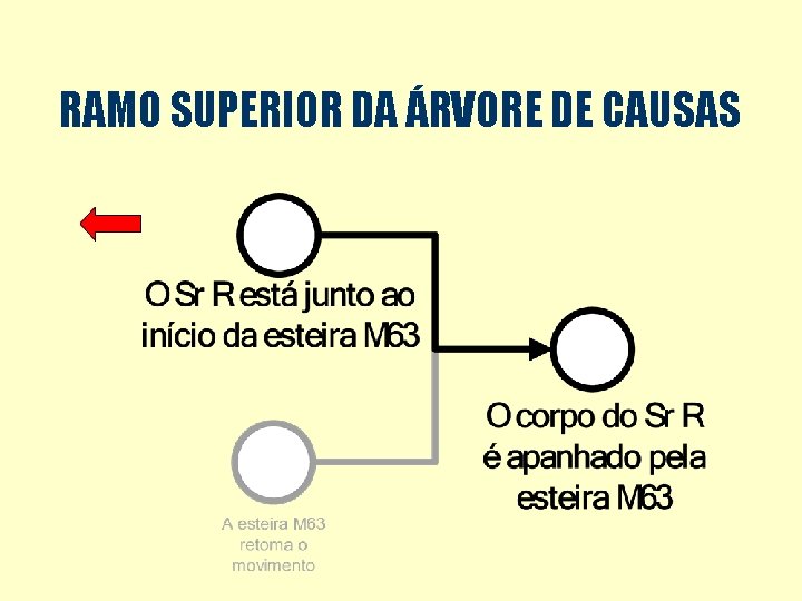 RAMO SUPERIOR DA ÁRVORE DE CAUSAS 