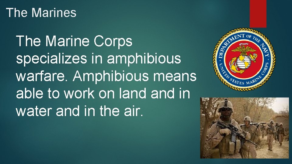 The Marines The Marine Corps specializes in amphibious warfare. Amphibious means able to work