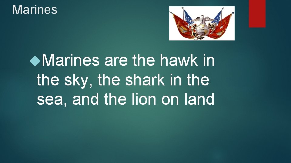 Marines are the hawk in the sky, the shark in the sea, and the