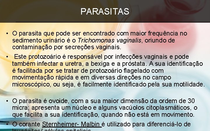 PARASITAS • O parasita que pode ser encontrado com maior frequência no sedimento urinário