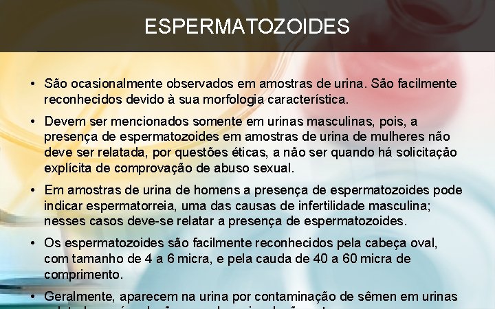 ESPERMATOZOIDES • São ocasionalmente observados em amostras de urina. São facilmente reconhecidos devido à