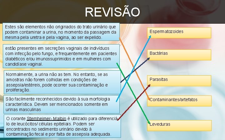 REVISÃO Estes são elementos não originados do trato urinário que podem contaminar a urina,