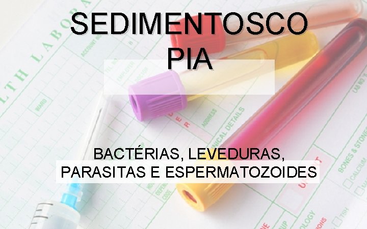SEDIMENTOSCO PIA BACTÉRIAS, LEVEDURAS, PARASITAS E ESPERMATOZOIDES 
