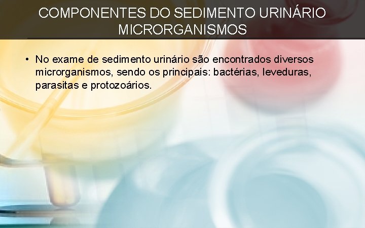 COMPONENTES DO SEDIMENTO URINÁRIO MICRORGANISMOS • No exame de sedimento urinário são encontrados diversos