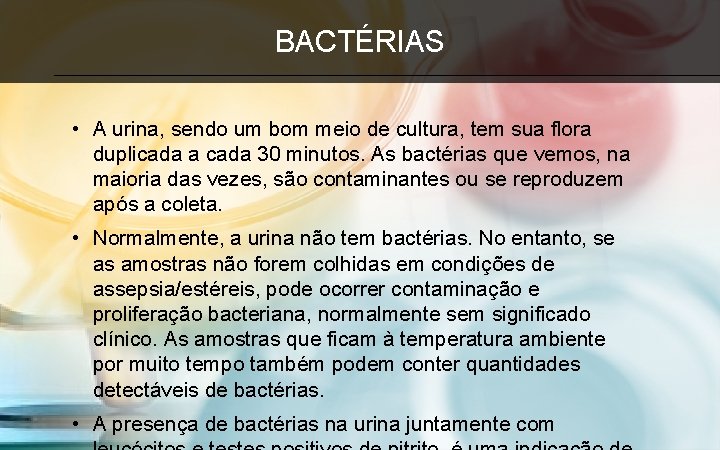 BACTÉRIAS • A urina, sendo um bom meio de cultura, tem sua flora duplicada