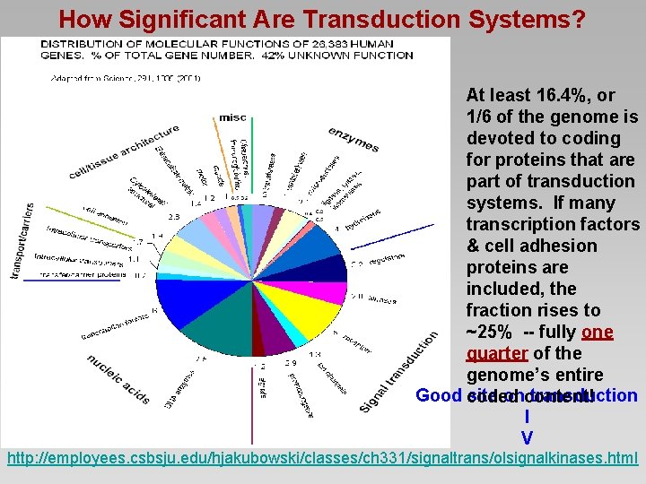 How Significant Are Transduction Systems? At least 16. 4%, or 1/6 of the genome