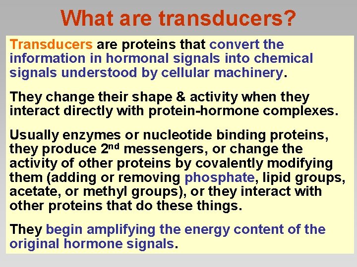 What are transducers? Transducers are proteins that convert the information in hormonal signals into