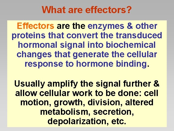 What are effectors? Effectors are the enzymes & other proteins that convert the transduced