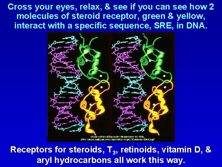 Cross your eyes, relax, & see if you can see how 2 molecules of