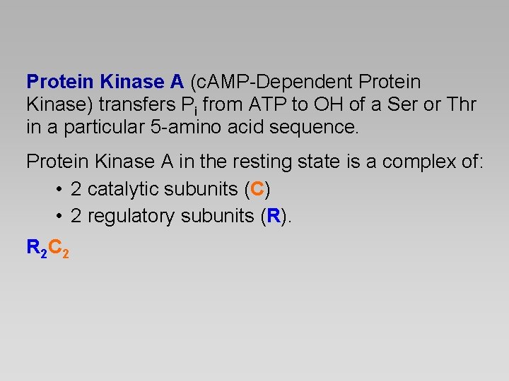 Protein Kinase A (c. AMP-Dependent Protein Kinase) transfers Pi from ATP to OH of