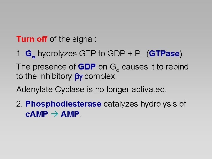 Turn off of the signal: 1. G hydrolyzes GTP to GDP + Pi. (GTPase).