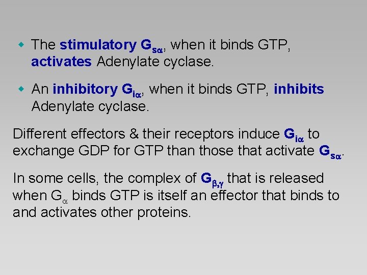 w The stimulatory Gs , when it binds GTP, activates Adenylate cyclase. w An
