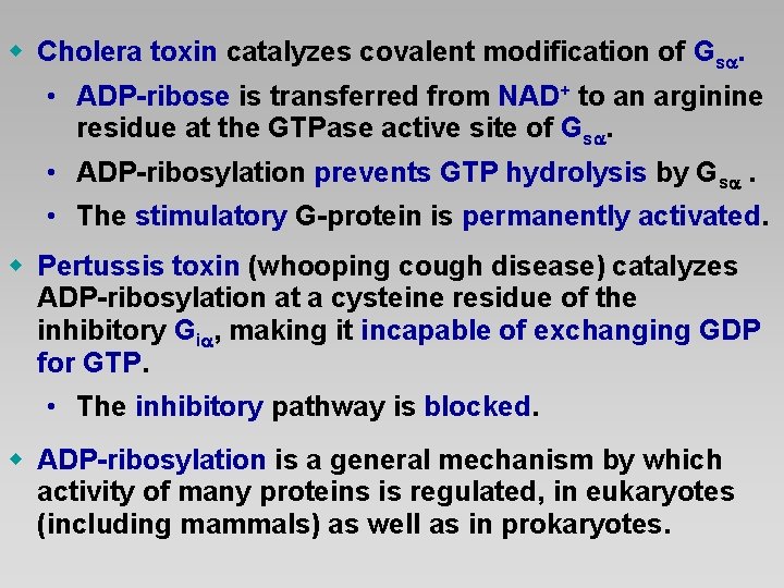 w Cholera toxin catalyzes covalent modification of Gs. • ADP-ribose is transferred from NAD+