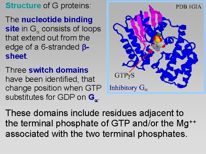 Structure of G proteins: The nucleotide binding site in G consists of loops that