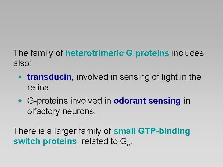 The family of heterotrimeric G proteins includes also: w transducin, involved in sensing of