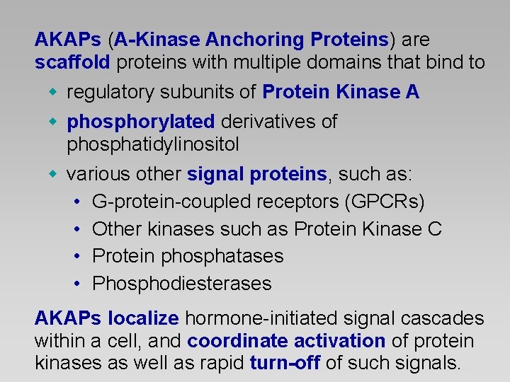 AKAPs (A-Kinase Anchoring Proteins) are scaffold proteins with multiple domains that bind to w