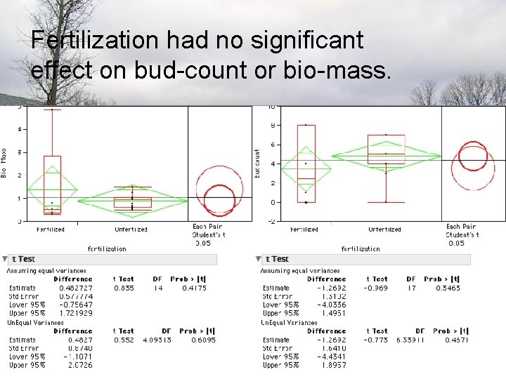 Fertilization had no significant effect on bud-count or bio-mass. 