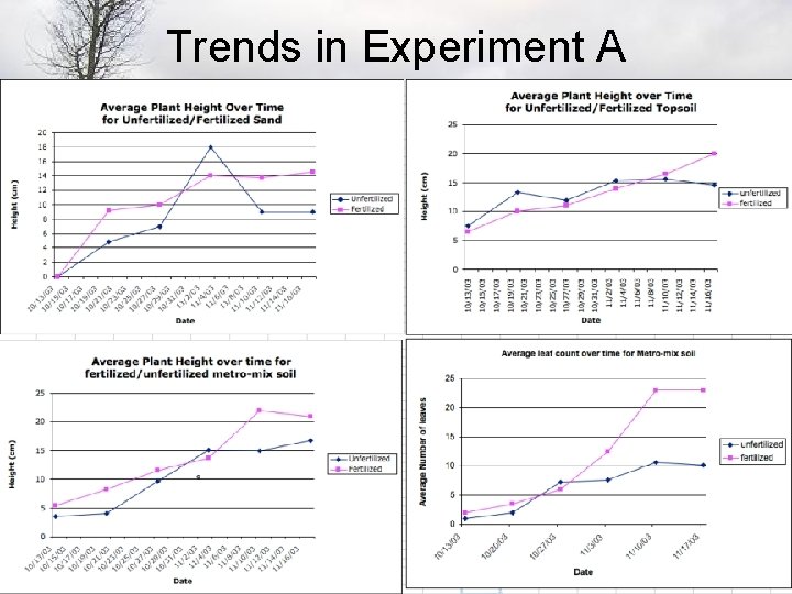 Trends in Experiment A 