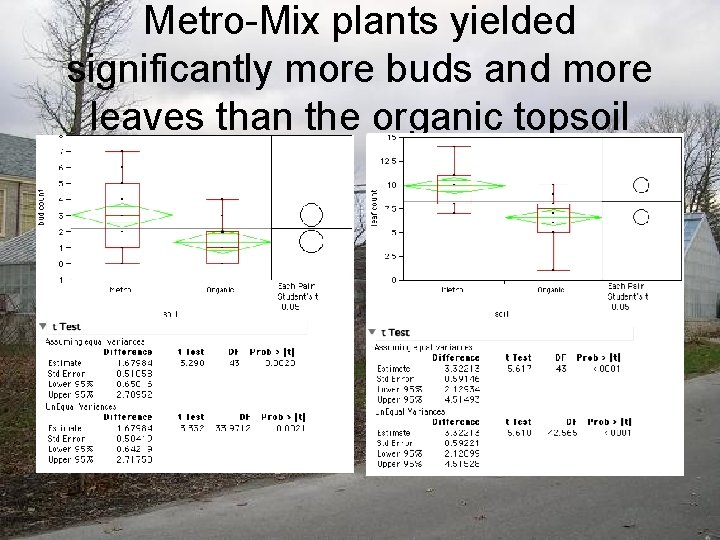 Metro-Mix plants yielded significantly more buds and more leaves than the organic topsoil 