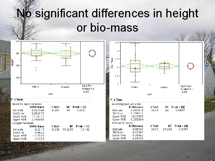 No significant differences in height or bio-mass 
