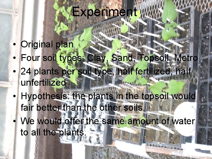 Experiment • Original plan • Four soil types: Clay, Sand, Topsoil, Metro • 24