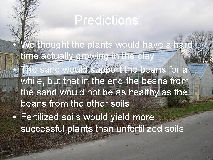 Predictions • We thought the plants would have a hard time actually growing in