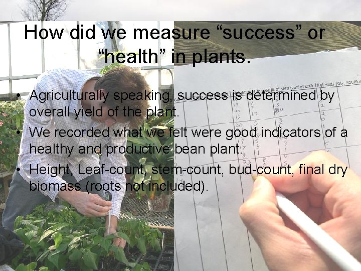 How did we measure “success” or “health” in plants. • Agriculturally speaking, success is