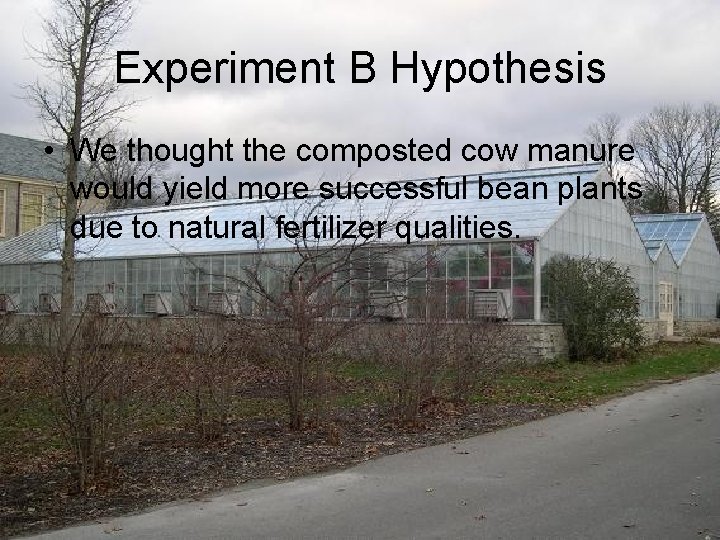 Experiment B Hypothesis • We thought the composted cow manure would yield more successful