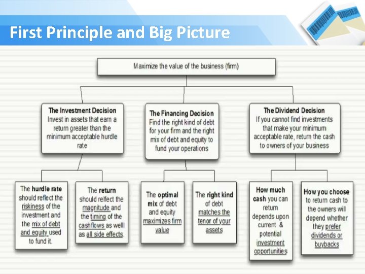 First Principle and Big Picture 