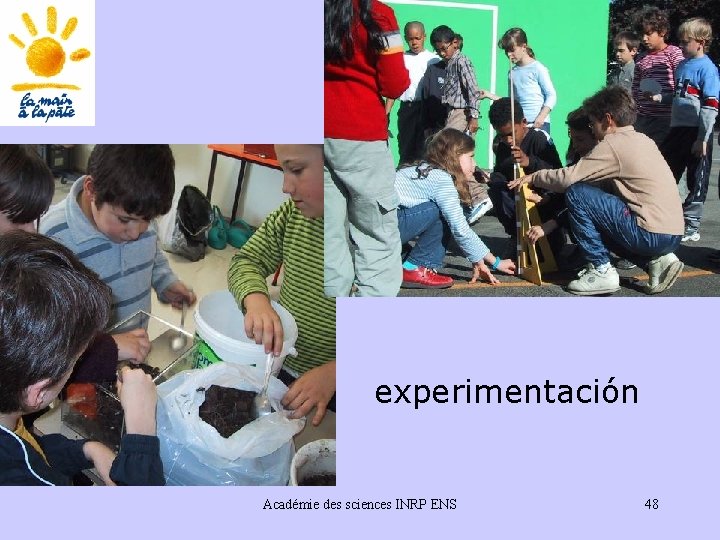 experimentación Académie des sciences INRP ENS 48 