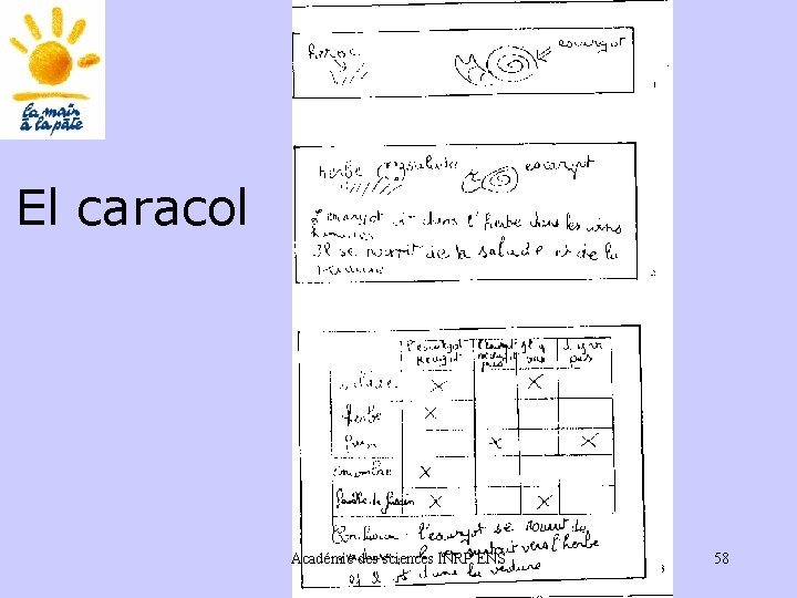 El caracol Académie des sciences INRP ENS 58 