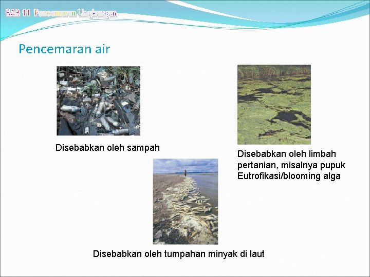 Pencemaran air Disebabkan oleh sampah Disebabkan oleh limbah pertanian, misalnya pupuk Eutrofikasi/blooming alga Disebabkan