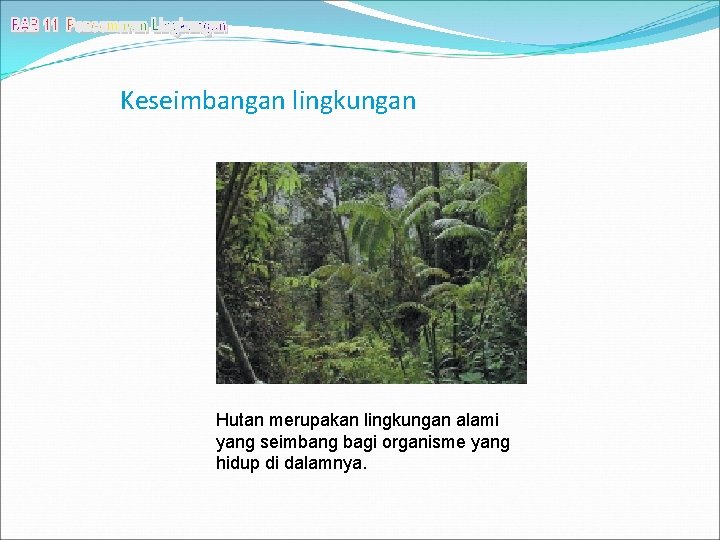 Keseimbangan lingkungan Hutan merupakan lingkungan alami yang seimbang bagi organisme yang hidup di dalamnya.