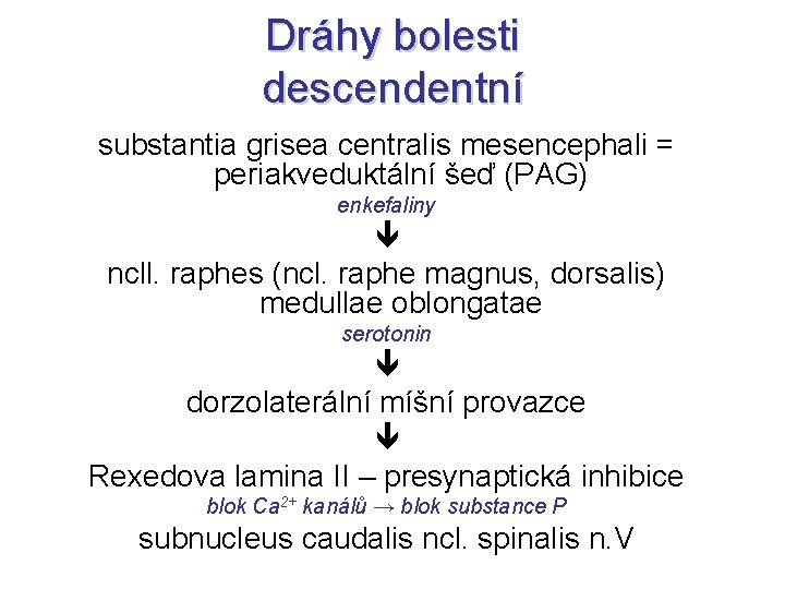Dráhy bolesti descendentní substantia grisea centralis mesencephali = periakveduktální šeď (PAG) enkefaliny ncll. raphes