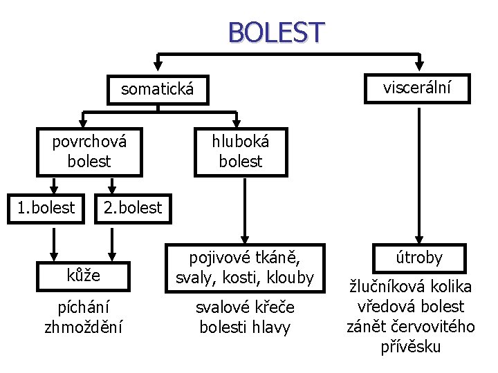 BOLEST viscerální somatická povrchová bolest 1. bolest hluboká bolest 2. bolest kůže pojivové tkáně,