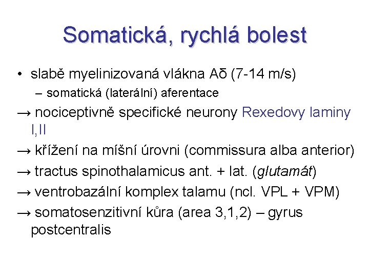 Somatická, rychlá bolest • slabě myelinizovaná vlákna Aδ (7 -14 m/s) – somatická (laterální)