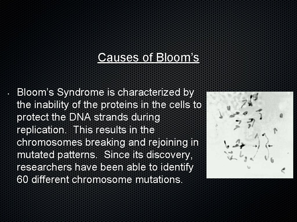 Causes of Bloom’s • Bloom’s Syndrome is characterized by the inability of the proteins