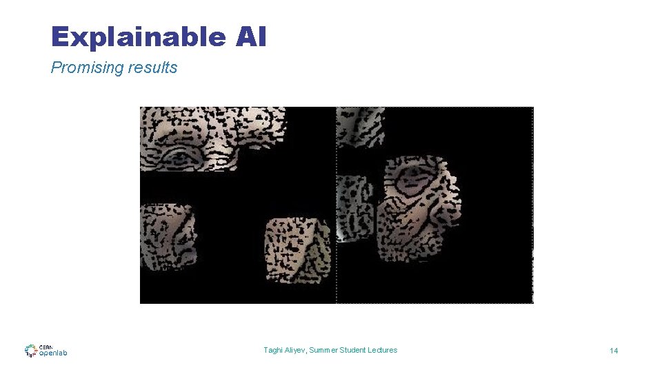 Explainable AI Promising results Taghi Aliyev, Summer Student Lectures 14 