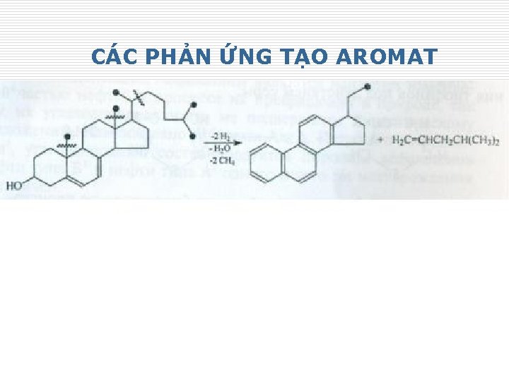 CÁC PHẢN ỨNG TẠO AROMAT 24 