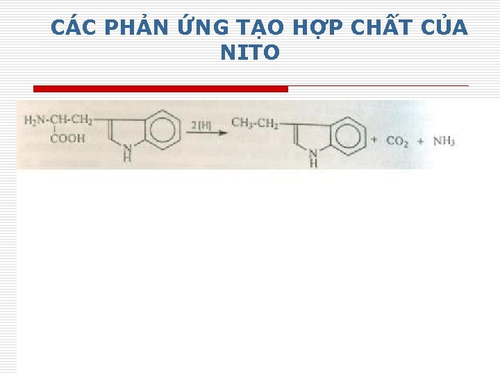 CÁC PHẢN ỨNG TẠO HỢP CHẤT CỦA NITO 30 