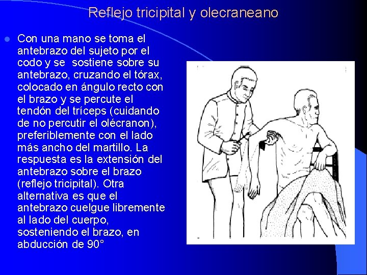 Reflejo tricipital y olecraneano l Con una mano se toma el antebrazo del sujeto