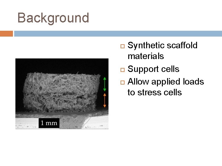 Background Synthetic scaffold materials Support cells Allow applied loads to stress cells 